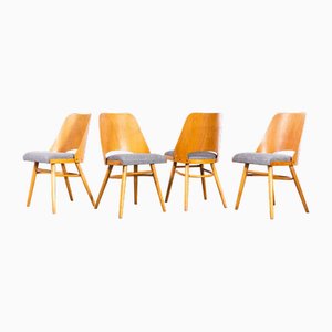 Chaises de Salle à Manger par Radomir Hoffman pour Ton, 1950s, Set de 4