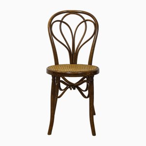 Antiker Spanischer Stuhl aus Bugholz aus Eiche von Ventura Feliu, 1890er, 4er Set