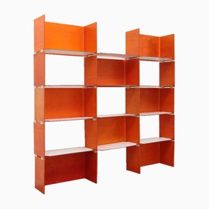 Modulare Französische Wandmöbel in Orange, 1960er