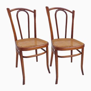 Chairs from Fischel, 1890s, Set of 2