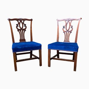 Edwardian Mahogany Dining Chairs in the style of Hepplewhite, Set of 2