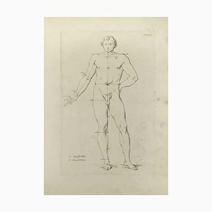 Nicholas Cochin, Studi di anatomia, Acquaforte, 1755