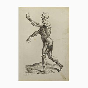 Jean François Poletnich, Anatomía estudia los músculos, aguafuerte, 1755