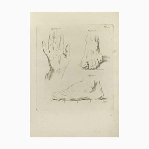 Jean François Poletnich, Hands and Feet, Etching, 1755