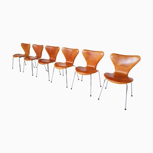 Cognacfarbene Mid-Century Leder Stühle von Arne Jacobsen, 1960er, 6er Set