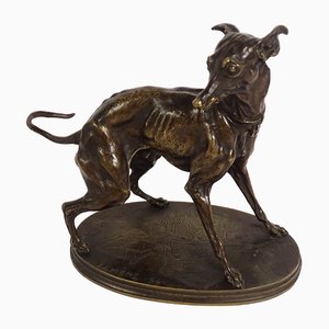 Pierre-Jules Mène, Plock Greyhound, 19th Century, Bronze