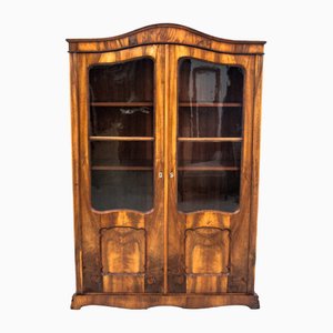 Library Antique Display Case, 1890