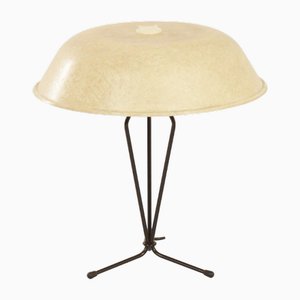 Fiberglass Table Lamp by Louis Kalff for Philips, 1958.