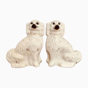 Antique Victorian Spaniel Seated Dogs from Staffordshire, 1880, Set of 2