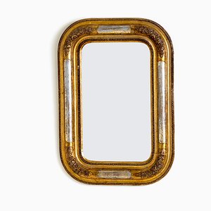19th Century Louis Philippe Wall Mirror