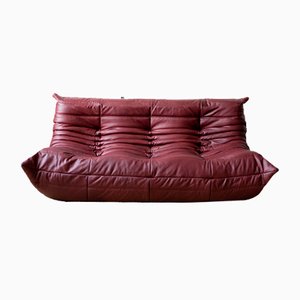 Amber Leather Togo 3-Seater Sofa by Michel Ducaroy for Ligne Roset