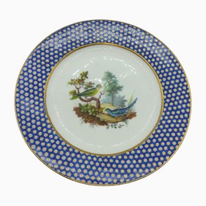 Assiette en Porcelaine de Vincennes Sèvres Motif Oeil de Perdrix Peint d'Oiseaux Exotiques