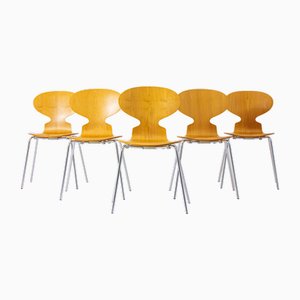 Ant Chairs by Fritz Hansen, Denmark, 1990s, Set of 5