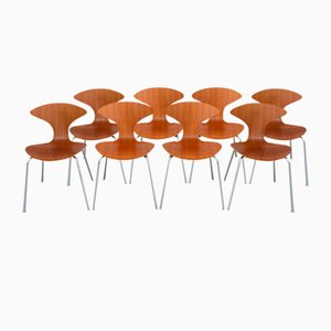 Orbit Dining Chairs in Walnut by Ross Lovegrove for Bernhardt Design, 2006, Set of 8