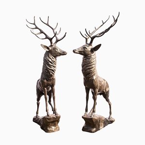 Life-Size Stags, 1980s, Bronze, Set of 2