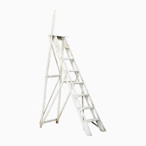 Vintage White Ladder in Wood