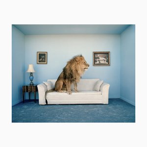 Matthias Clamer, Lion assis sur un canapé, vue latérale, tirage photographique, 2022