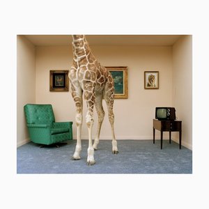 Matthias Clamer, Girafe dans le salon, Partie basse, Tirage photographique, 2022