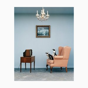 Matthias Clamer, Pingouins sur une chaise devant la télévision, Vue latérale, Tirage photographique, 2022