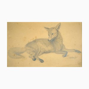 Carl Friedrich Deiker, Watchful Fox, 1854, Crayon sur Papier