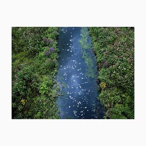 Ellie Davies, Chalk Streams 2, Photograph, 2023