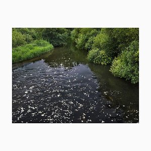 Ellie Davies, Chalk Streams 4, Photograph, 2023