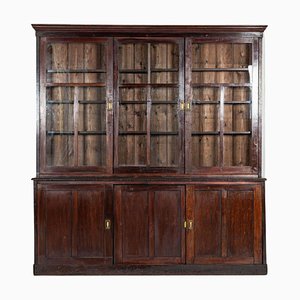 Large 19th Century English Mahogany & Pine Haberdashery Glazed Cabinet, 1880s