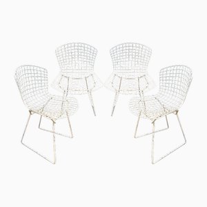 Vintage Garden Chairs by Harry Bertoia for Knoll International, 1950s, Set of 4