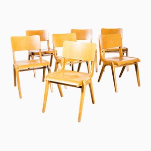Stapelbare Casala Esszimmerstühle aus Honigbuche, 1950er, 7 . Set