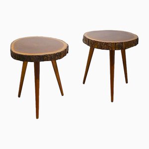 Tree Trunk Slice Side Tables in Mahogany, 1952, Set of 2