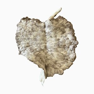 Giant Leaf Sculpture in Naturally Dyed Felted Wool by Inês Schertel