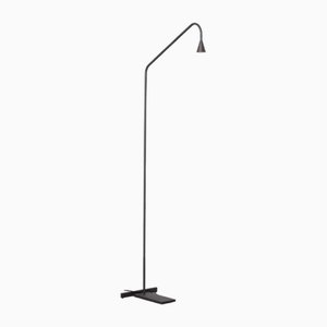 Austere-Floor Reading Lamp in Black from Trizo21