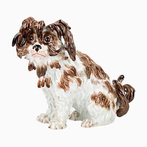 Meissen Porzellan Schoßhund Figur