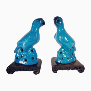 Parrocchetti, Cina, XIX secolo, set di 2