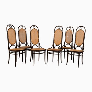 No. 17 Viennese Wicker Chair from Thonet, Set of 6