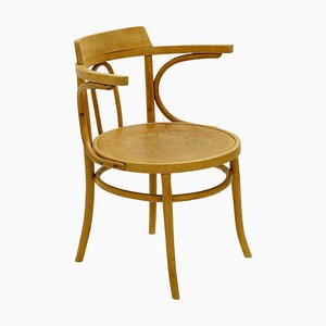 Bentwood Armchairs attributed to Thonet for Luterma