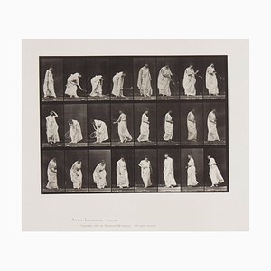 Eadweard Muybridge, Animal Locomotion: Plate 299, 1887, Collotipia