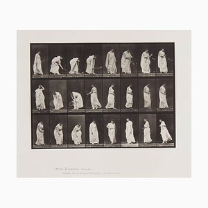 Eadweard Muybridge, Animal Locomotion: Plate 299, 1887, Lichtdruck