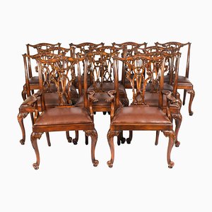 Vintage Chippendale Dining Chairs in Mahogany, 1950s, Set of 12