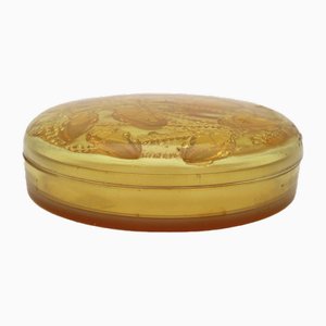 Cleones Round Box in Yellow Tinted Box by René Lalique, 1921