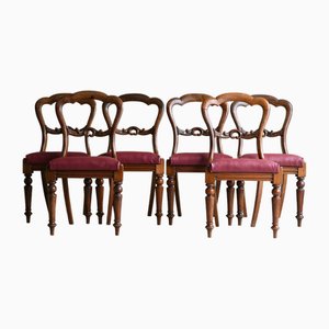 Viktorianische Esszimmerstühle aus Mahagoni, 6 . Set