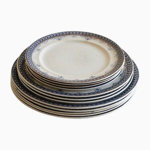 Colección de platos victorianos en azul. Juego de 12