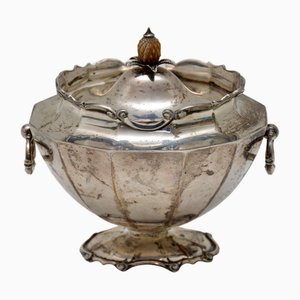 Porta tè edoardiano antico in argento, 1912