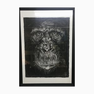 Simon Postgate, Chimp, 2022, Charcoal on Paper, Framed