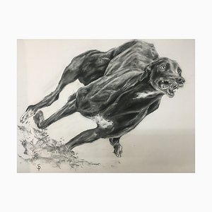 Simon Postgate, Greyhound, 2022, Charcoal & Ink on Paper, Incorniciato