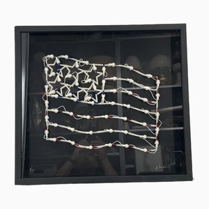 Jan Henderikse, Stars & Stripes, 1996, Oggetto luminoso