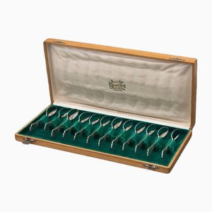 Tea Spoons with Box, 1890s, Set of 13