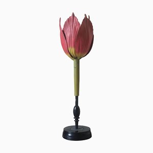 Modèle Botanique Tulip Generiana par Robert Brendels, Allemagne, 1900s