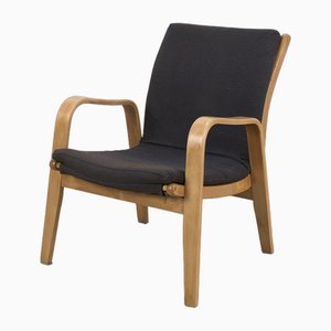 Armchair Fb06 by Cees Braakman for Pastoe