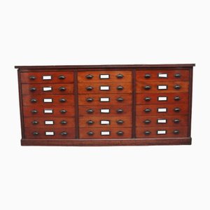 Vintage Multi-Drawer Chests in Mahogany, 1920, Set of 2